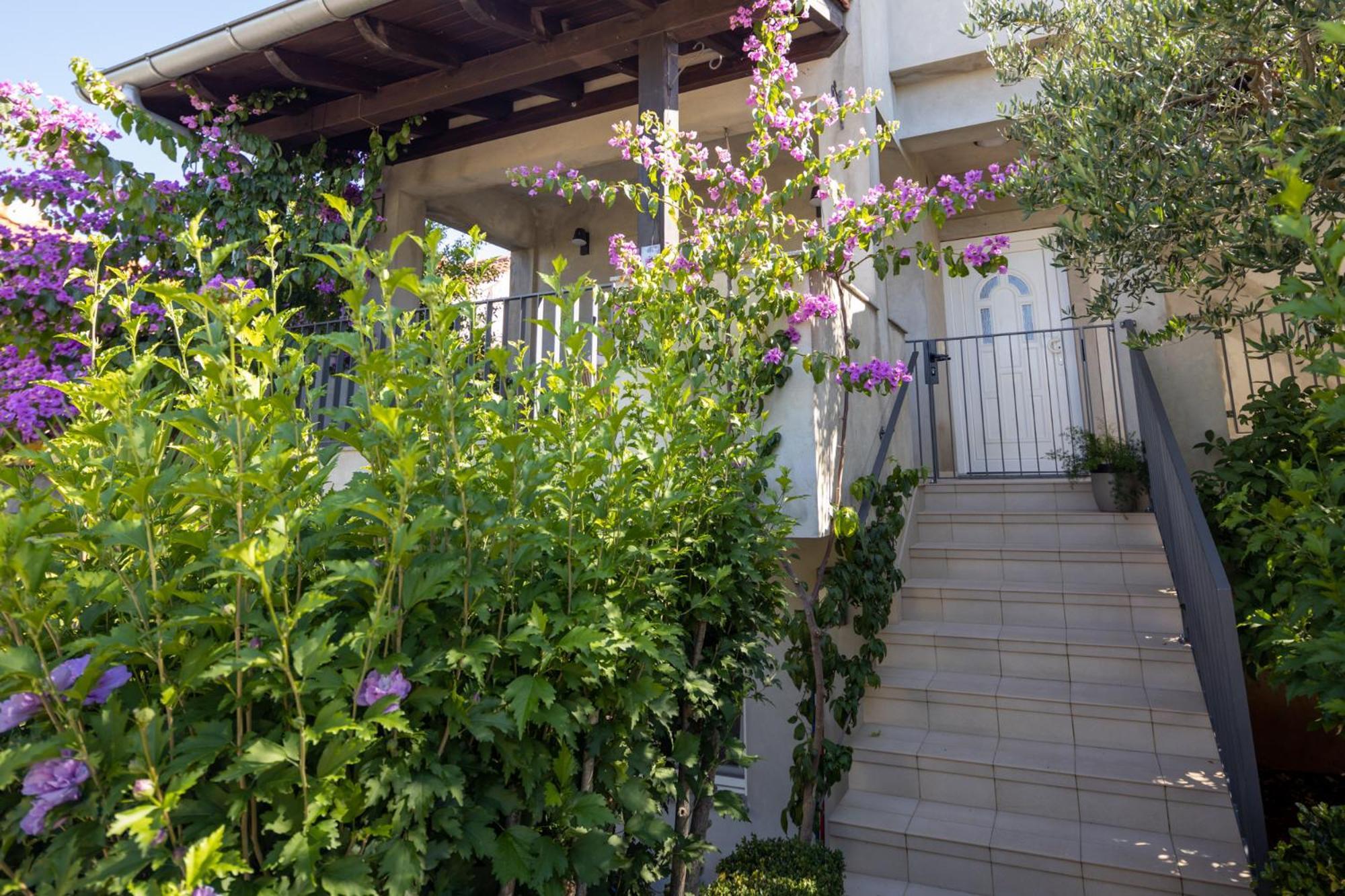 Lumaja Luxury Apartman Biograd Na Moru Exterior photo